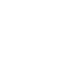 Canvas Logo